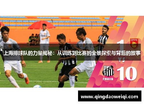 上海排球队的力量揭秘：从训练到比赛的全景探索与背后的故事