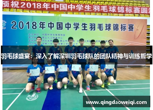 羽毛球盛宴：深入了解深圳羽毛球队的团队精神与训练哲学