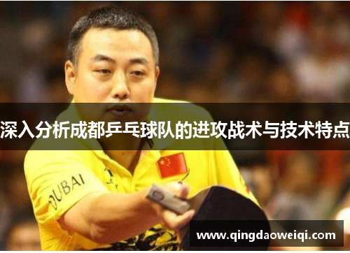 深入分析成都乒乓球队的进攻战术与技术特点